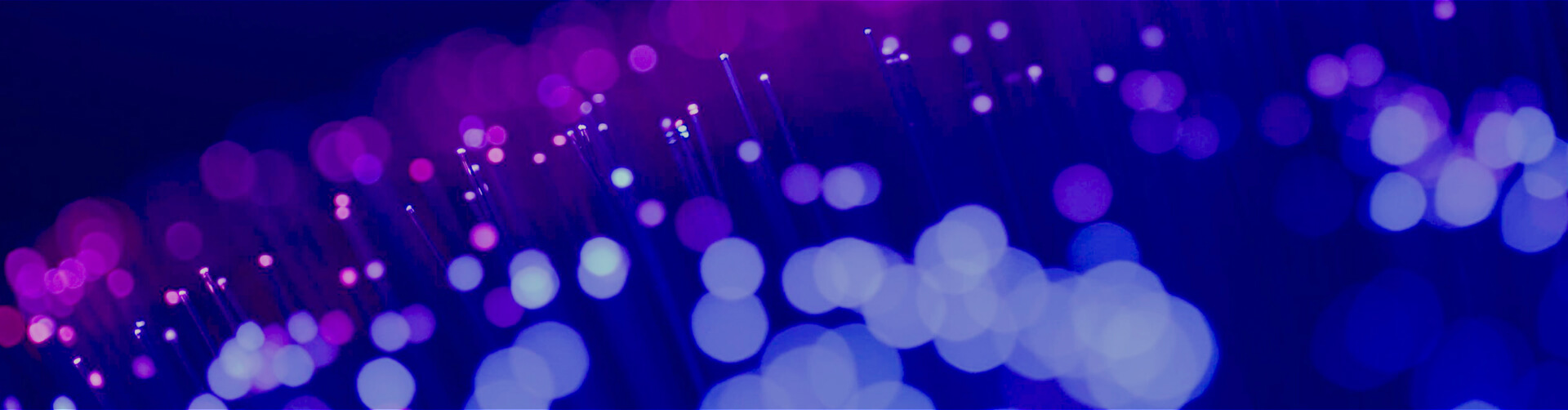 77����-ר������ָ��������ƽ̨