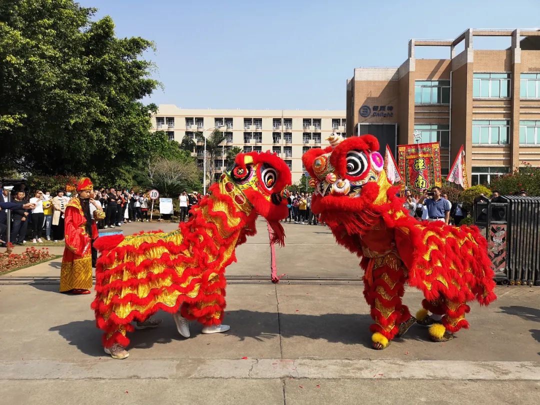 77����-ר������ָ��������ƽ̨