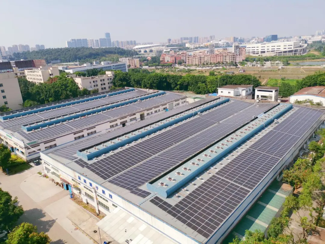 77����-ר������ָ��������ƽ̨