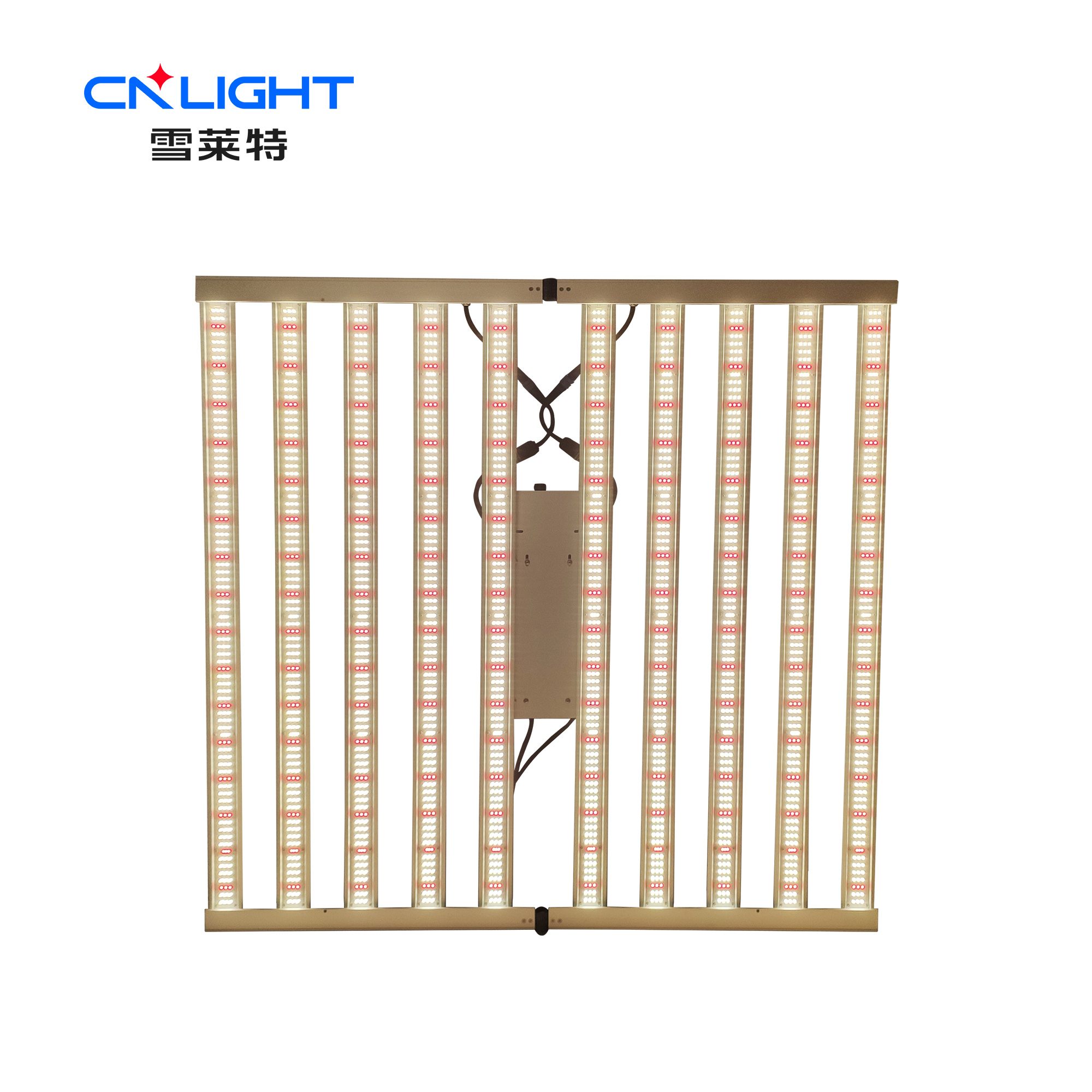 77����-ר������ָ��������ƽ̨