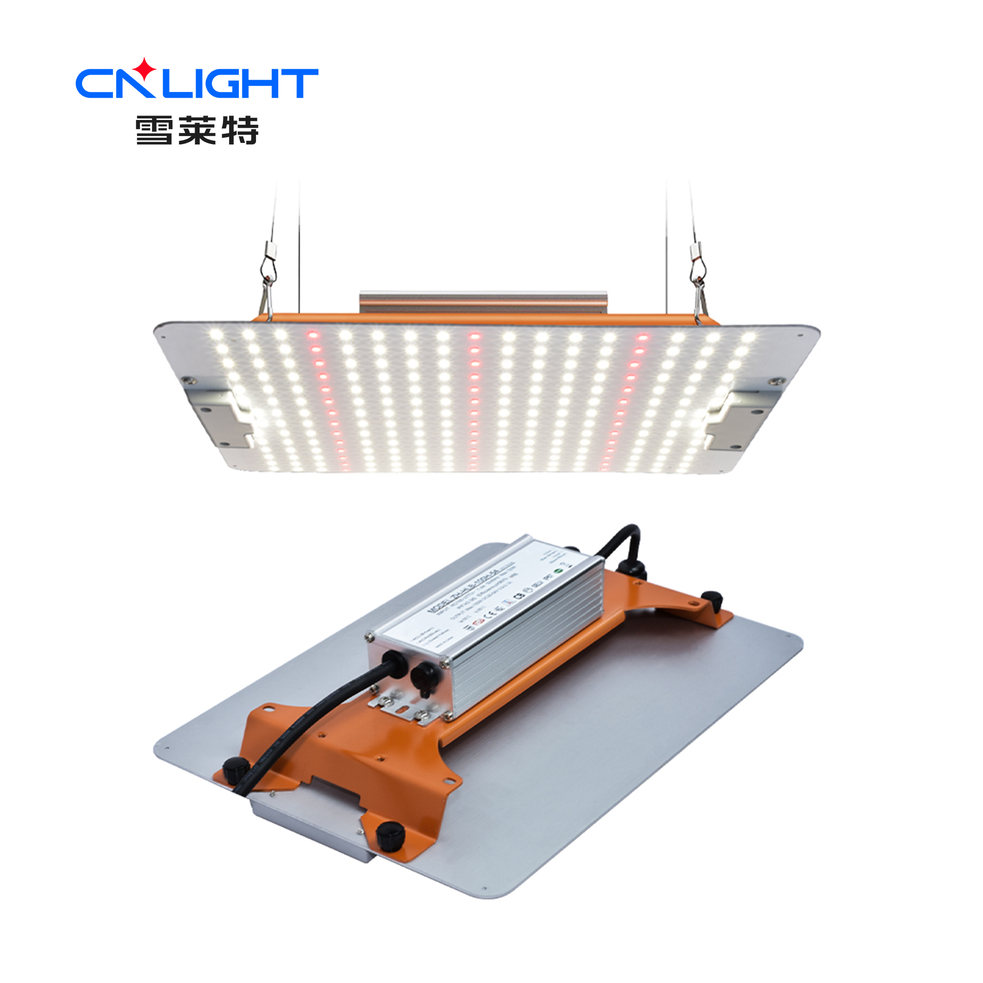 77����-ר������ָ��������ƽ̨